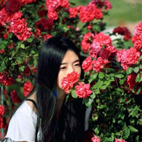 我的伤痛、我的狼狈浪漫唯美的qq女生头像图片，爱上了安静