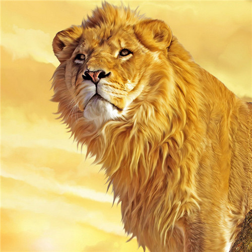 微信头像狮子图片大全 高清霸气的雄壮凶猛的狮子图片头像