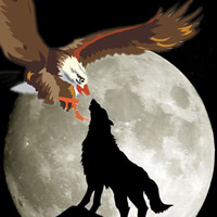 狼和鹰的拼搏图片头像 霸气的狼鹰大战图片头像