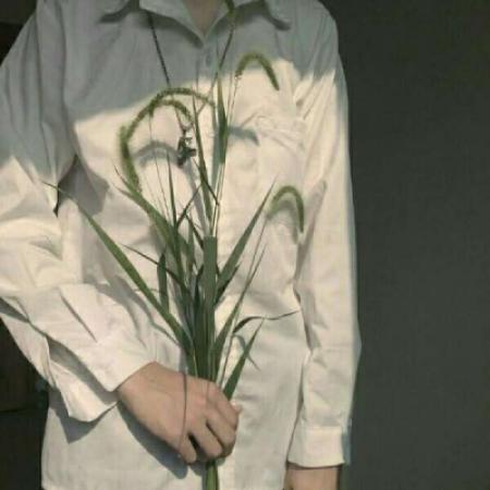 部位男生头像森系捧花，我默默的和你表达爱