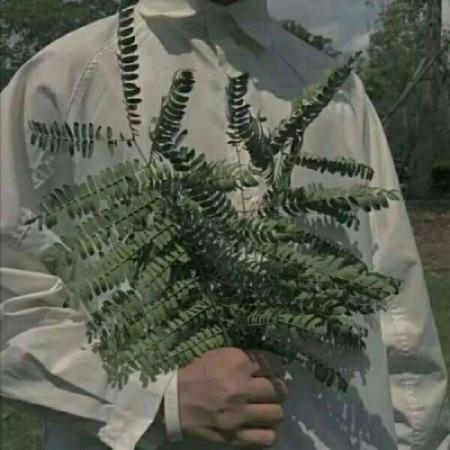 森系唯美男头像半身部位，手捧花的男生