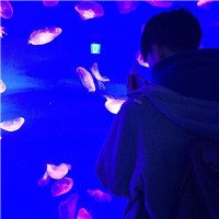 看到背影让人感觉到温暖,情侣头像背影一对两张