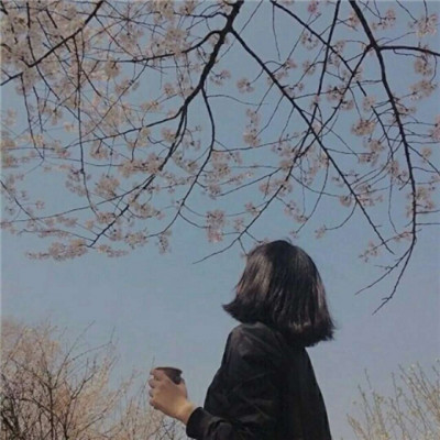 微信女生背影头像短发，就这样平平稳稳就是生活了