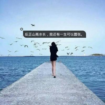 微信头像背景带字图片女，海边背影头像比较占多数