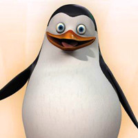 美国动画电影:马达加斯加企鹅头像_首领Skipper,智囊Kowalski，最年轻的Private和最疯狂的Rico