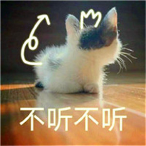 好看可爱的小猫咪头像 萌萌的乖乖的