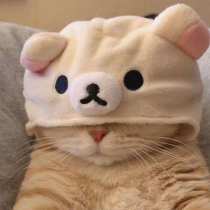 猫系列情侣头像 猫咪情侣头像可爱图片