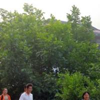 河南万仙山 八城沟个性风景头像图片,前些天旅游拍的,很漂亮的风景