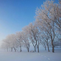 冬天雪景头像,白色的雪,好看的冰
