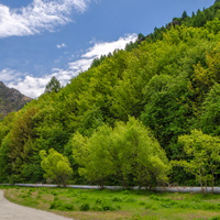 高清好看的风景头像图片,大海,阳光,青山
