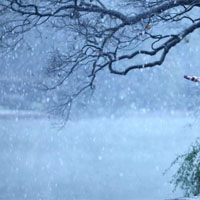 冬天杭州西湖雪花纷飞风景QQ头像图片
