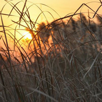 夕阳图片唯美小清新风景头像图片
