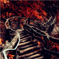 美丽的风景不如拥有美好的心情 好看图片头像风景