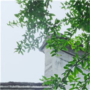 森系小清新意境美景头像 幽静绿色让人心情特好