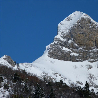 冬天雪景的微信头像，皑皑白雪风景高清图片