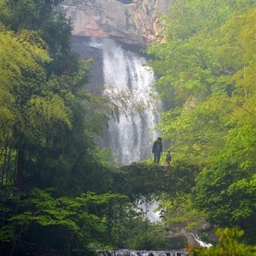 特别好看风景头像，它完美地捕捉到了风景的精髓