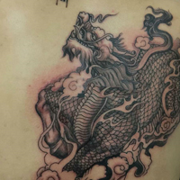 花臂图腾,小猫,侧腰部,后背小麒麟纹身