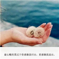 积极阳光正能量的微信头像带字图片共计12P