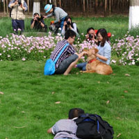 个性搞笑头像图片,芸芸众生,屌爆的水果蔬菜,让人想笑的真人