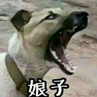 2017娘子啊哈卡通搞笑情侣头像图片