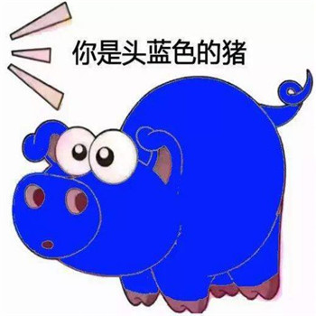 抖音猪头像特效 抖音七彩猪表情包系头像图片