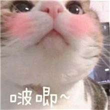 苍天呀偷偷抹泪受了委屈 猫咪萌图头像带字图片