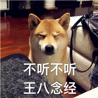 情侣头像搞笑逗比动物图片带字的,这时候应该装傻