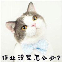 猫图片卖萌带字头像,肥猫咪带字搞笑图片