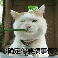 适合做头像的搞怪猫咪，可爱猫咪这表情太萌了