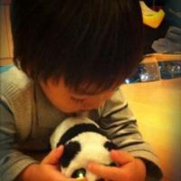 可爱小小志搞笑,搞怪QQ头像图片（kimi）可爱模样萌翻众网友