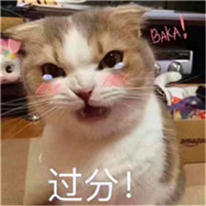 搞笑的微信头像,个性搞笑表情包系图片
