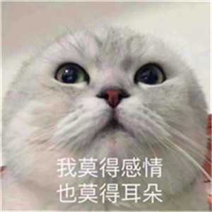 搞笑的微信头像,个性搞笑表情包系图片