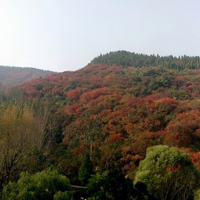 秋游红叶谷风景头像图片,风景秀丽美极了,喜欢风景的朋友首选