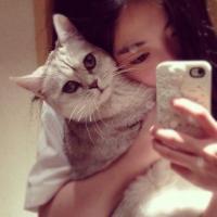抱着猫的女生头像,漂亮的MM与可爱的猫咪在一起萌死个人