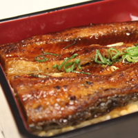 qq美食头像,鳗鱼饭图片,上海最好吃的鳗鱼饭