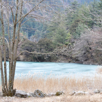 四川九寨沟风景头像,感觉九寨沟冬景的美丽