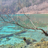 四川九寨沟风景头像,感觉九寨沟冬景的美丽