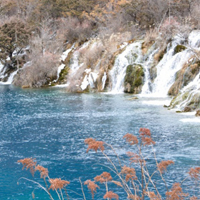 四川九寨沟风景头像,感觉九寨沟冬景的美丽