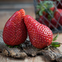 草莓特写图片,可爱的草莓头像