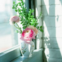 清新花朵头像图片,窗台上优美的花朵