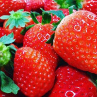 关于草莓的头像图片红红的草莓像什么