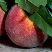 水果桃子头像,甜蜜多汁的水蜜桃图片