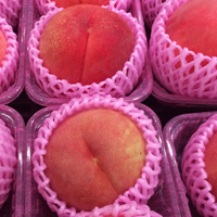 水果桃子头像,甜蜜多汁的水蜜桃图片
