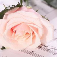 qq玫瑰花头像,我们的爱情红红火火,越来越幸福