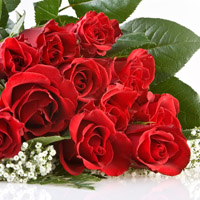 qq玫瑰花头像,我们的爱情红红火火,越来越幸福