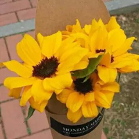 黄色花朵头像,对你的爱是满满的