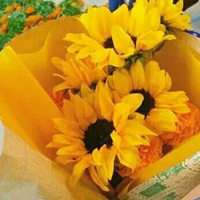 黄色花朵头像,对你的爱是满满的