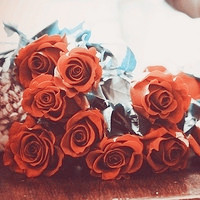 阿宝色红玫瑰个性头像,送给最亲爱的人