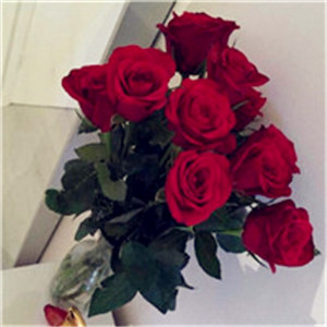 玫瑰花是送给你爱的人的，你是我的唯一