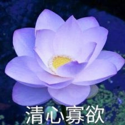 微信莲花头像